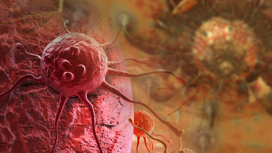 86f38dfa7551a413f2be9d35e3e6f4a3.png 86f38dfa7551a413f2be9d35e3e6f4a3.png