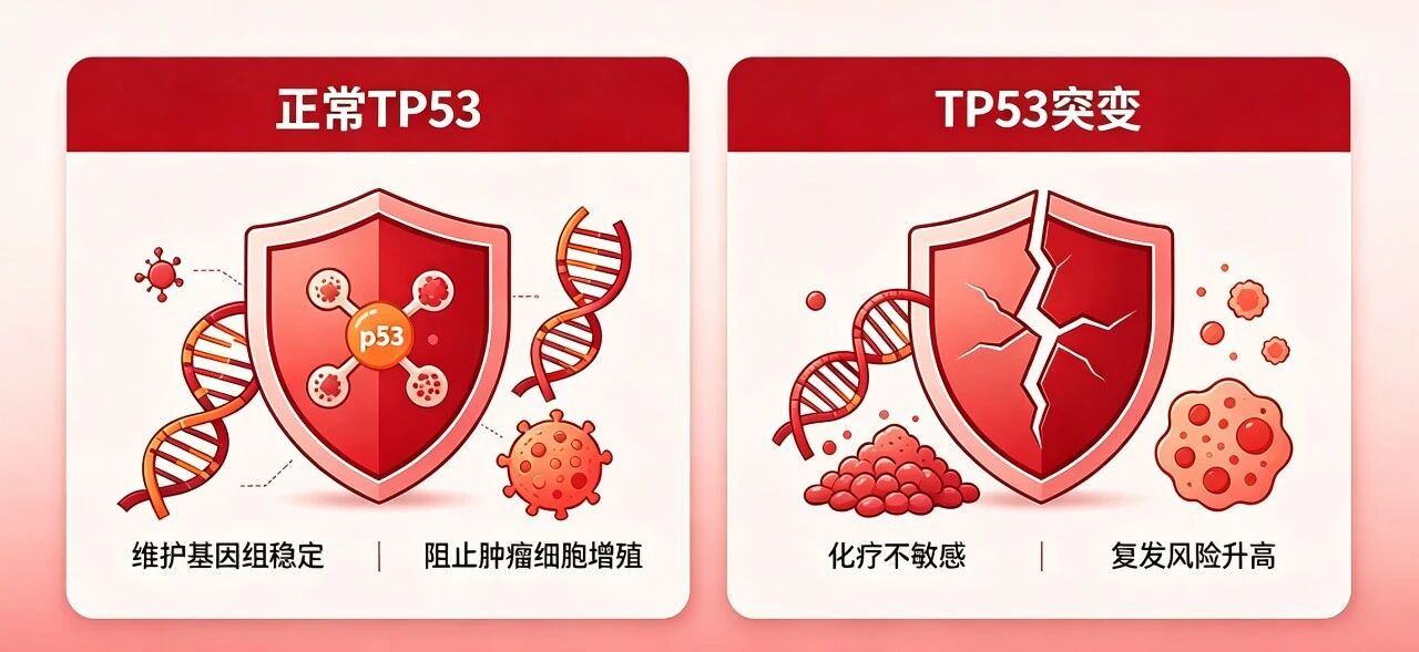 白血病复发，最怕这3种基因突变，中了就难办