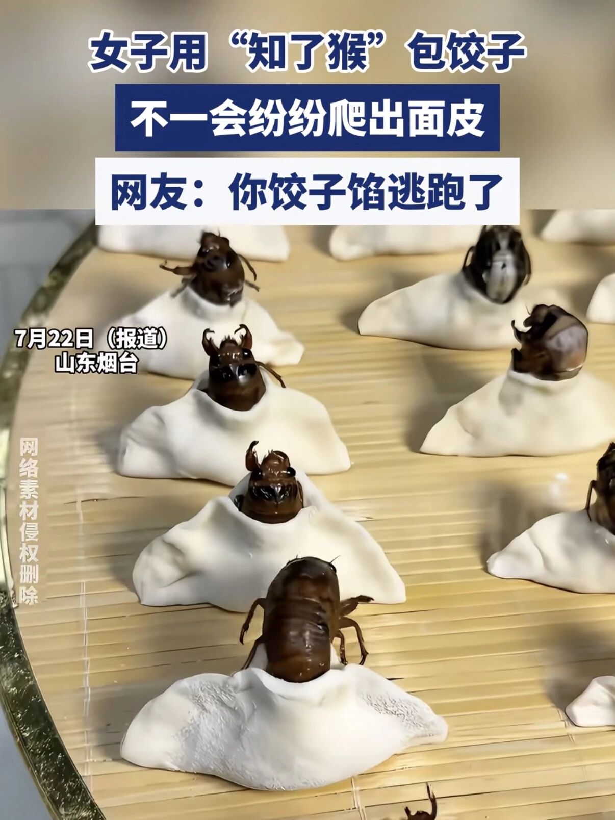 8味虫药，攻邪不伤正：李忠教授的抗癌